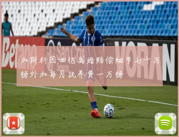 加斯科因回忆离婚赔偿细节七十万镑外加每月抚养费一万镑